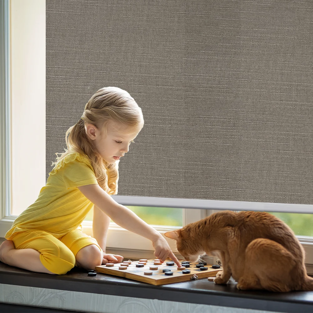 Modern Roller Shades