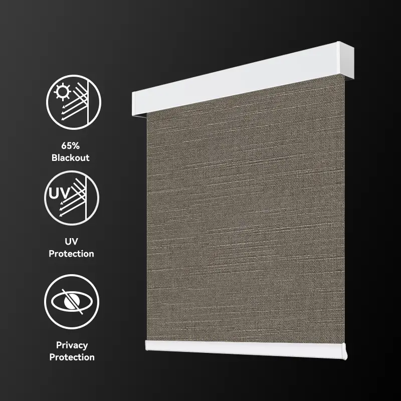 Modern Roller Shades