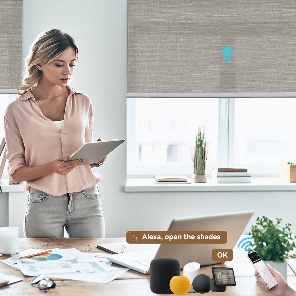 Modern Roller Shades