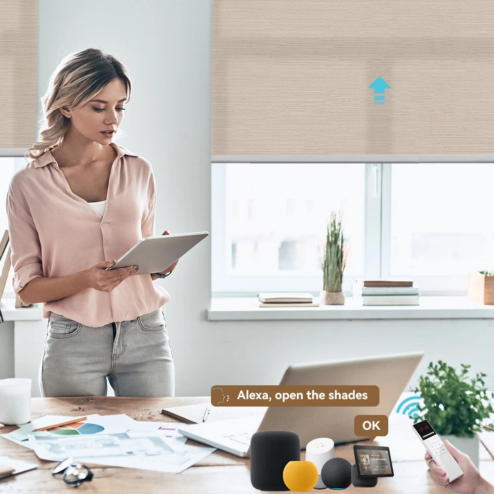 Motorized Blind Roller