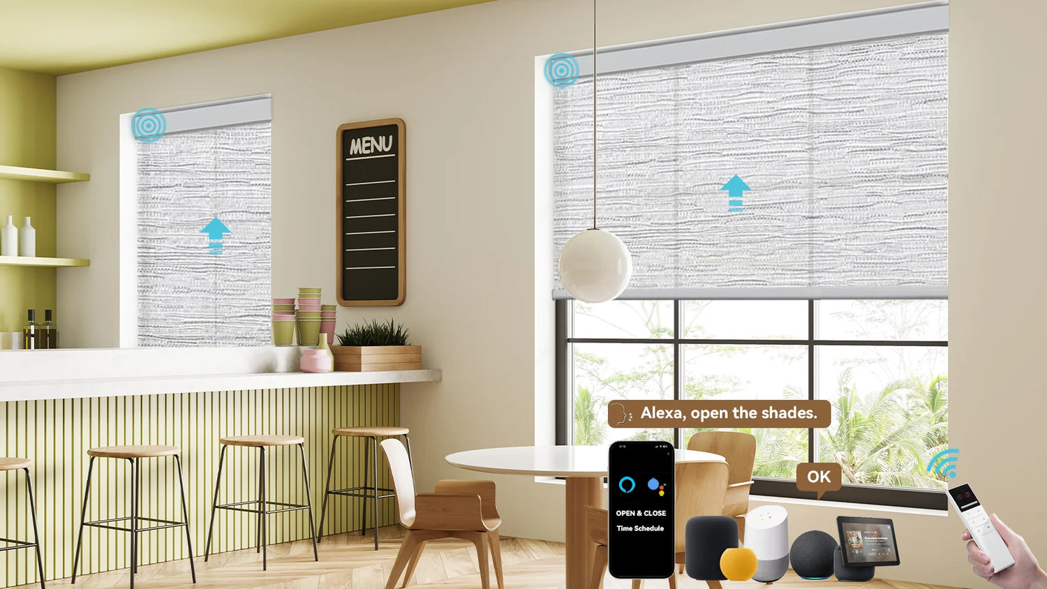 Electric Roller Shades
