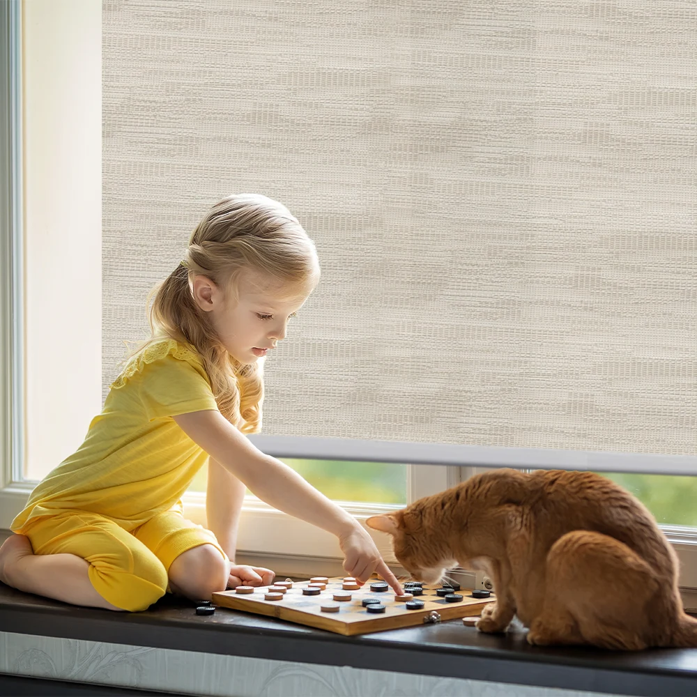 Electric Roller Shades