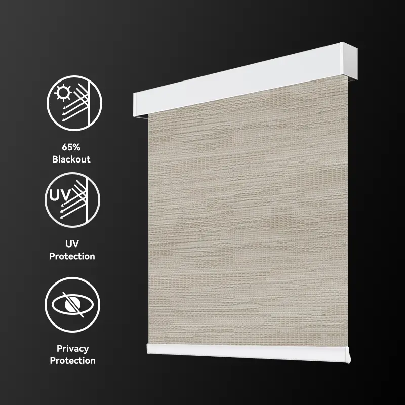 Electric Roller Shades