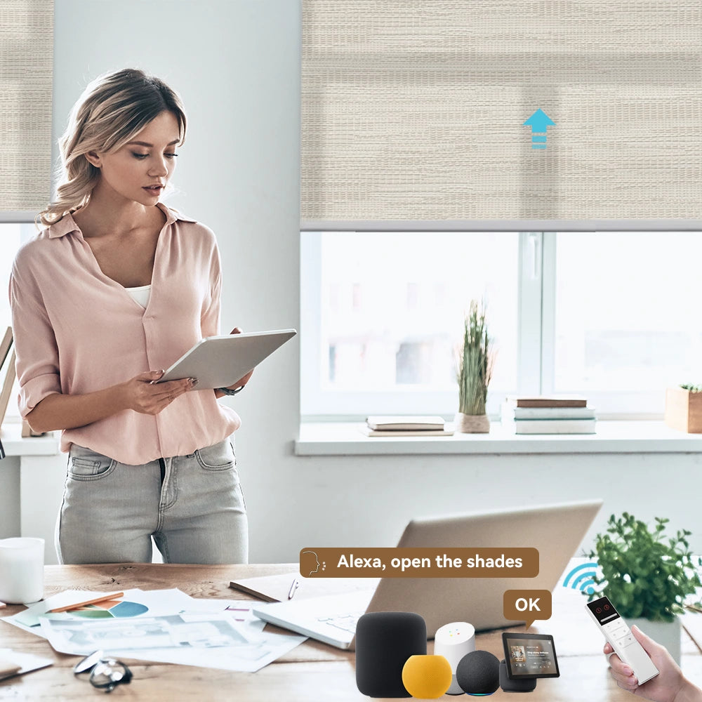 Electric Roller Shades