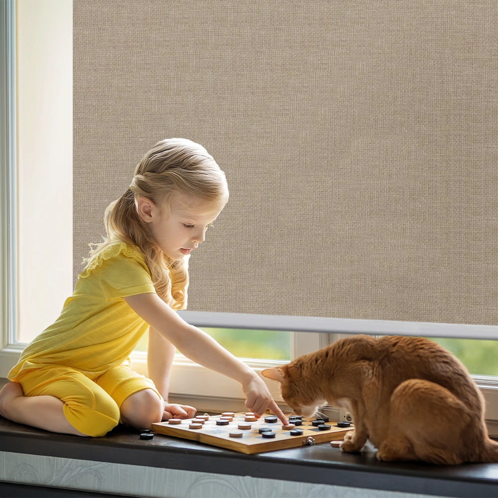 Blackout Motorized Shades