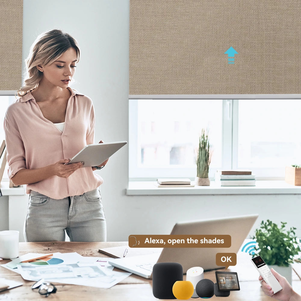 Blackout Motorized Shades