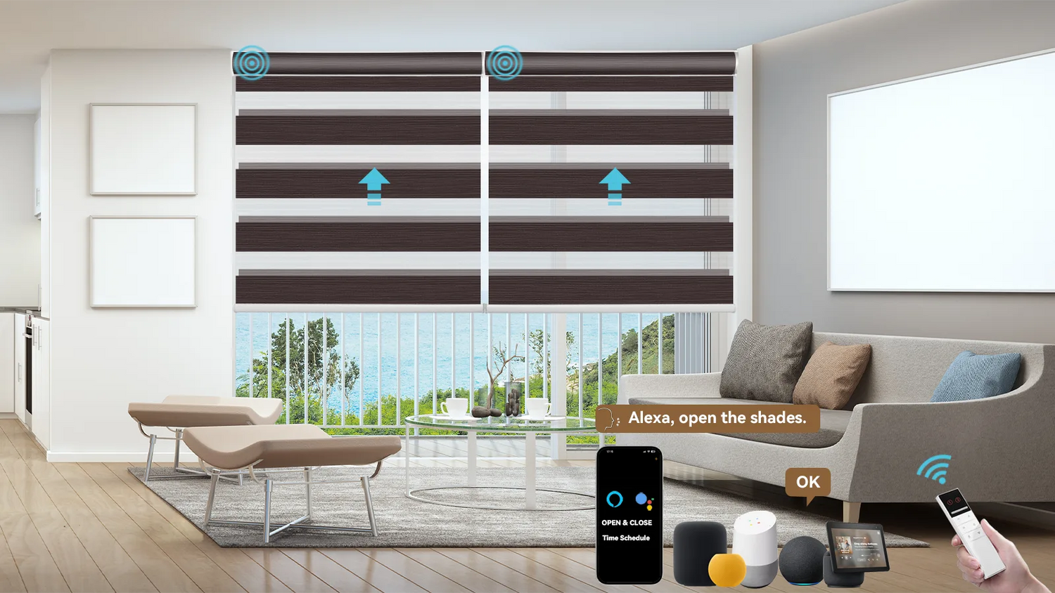 Zebra Roller Shades