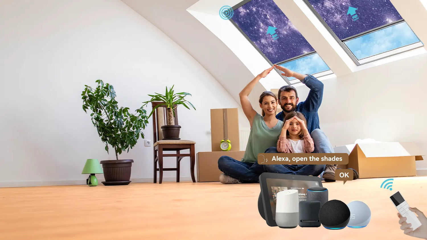 Enhance Your Home with Motorized Blackout Skylight Shades