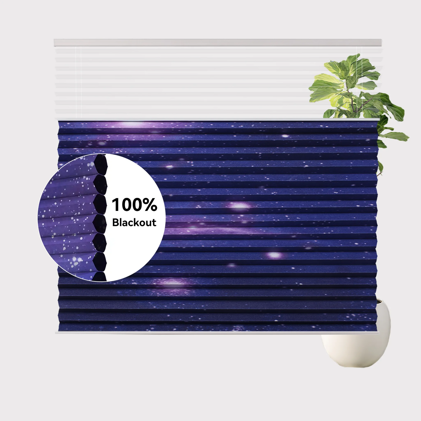 Starry Sky