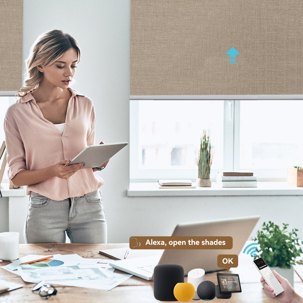 Motorized Blinds with Alexa