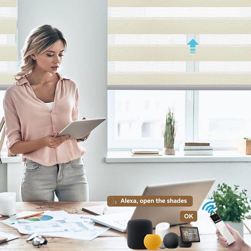 Modern Zebra Blinds