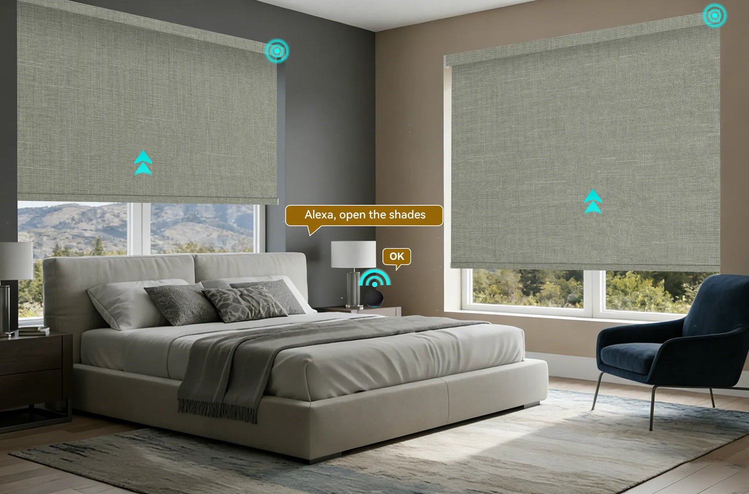 Alexa Roller Shades