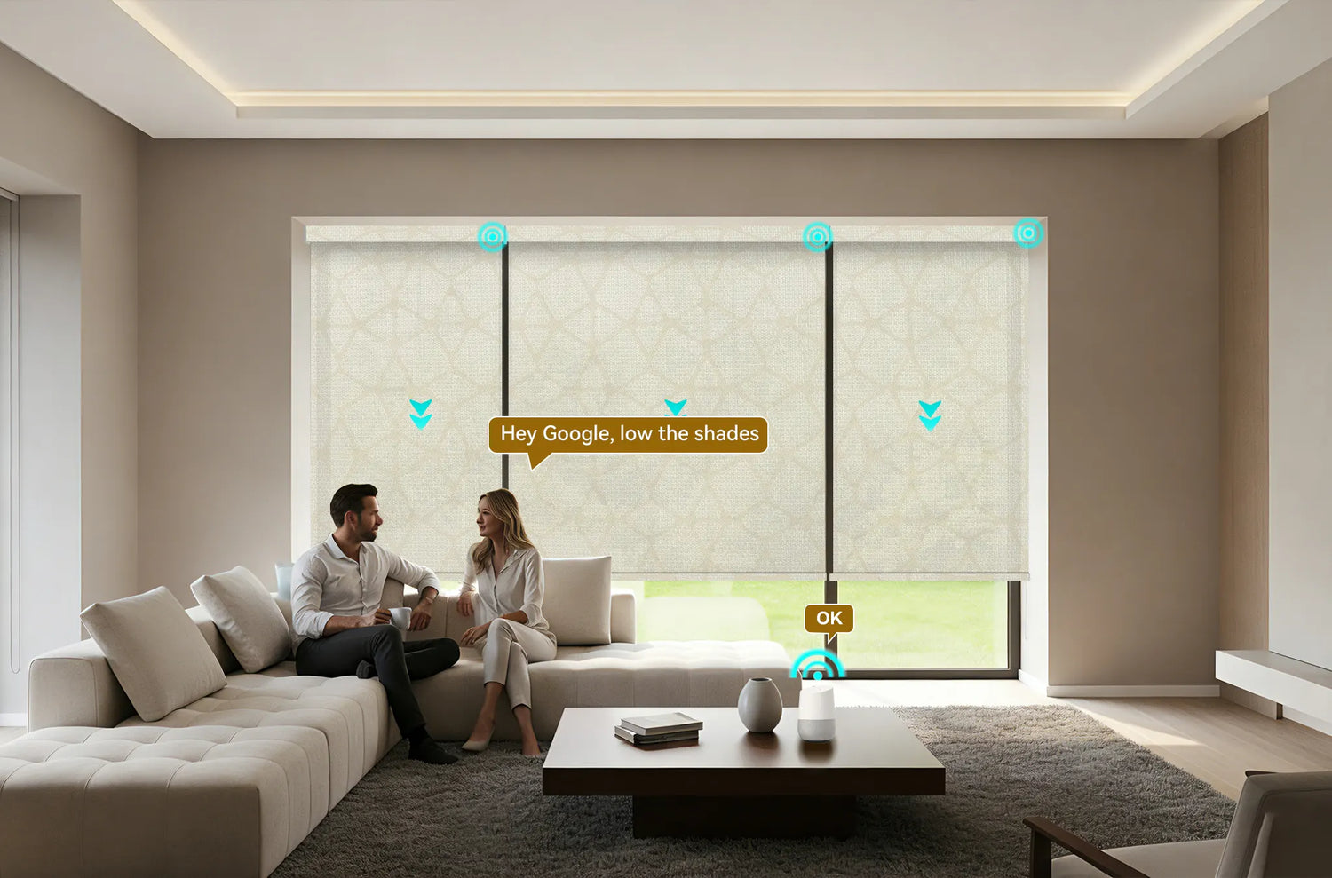 Google Roller Shades