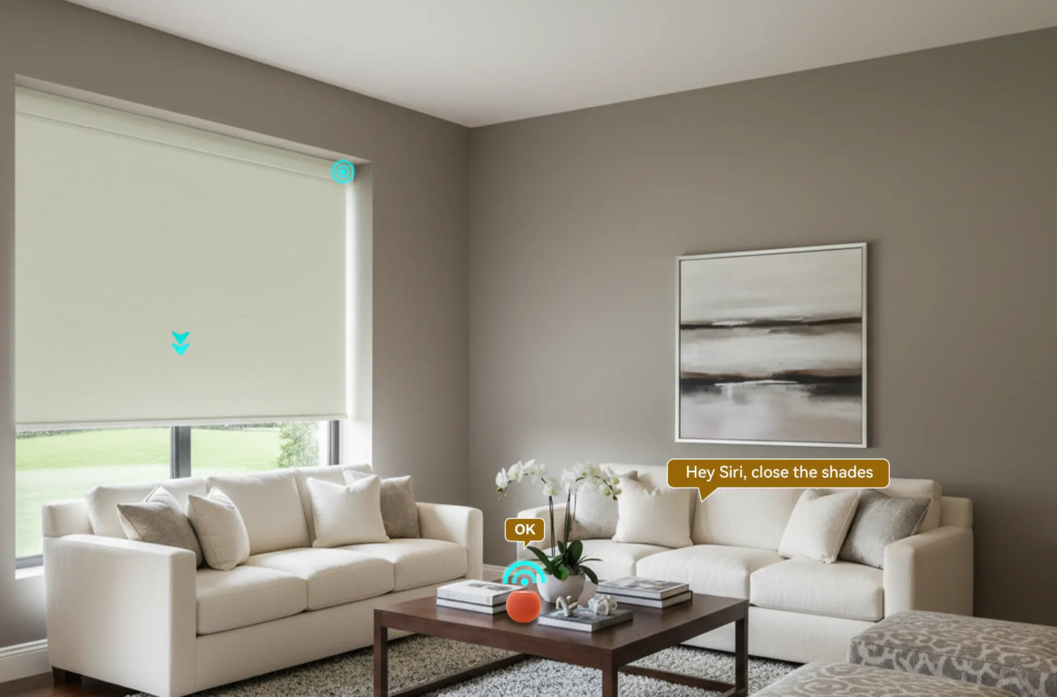 HomeKit Roller Shades