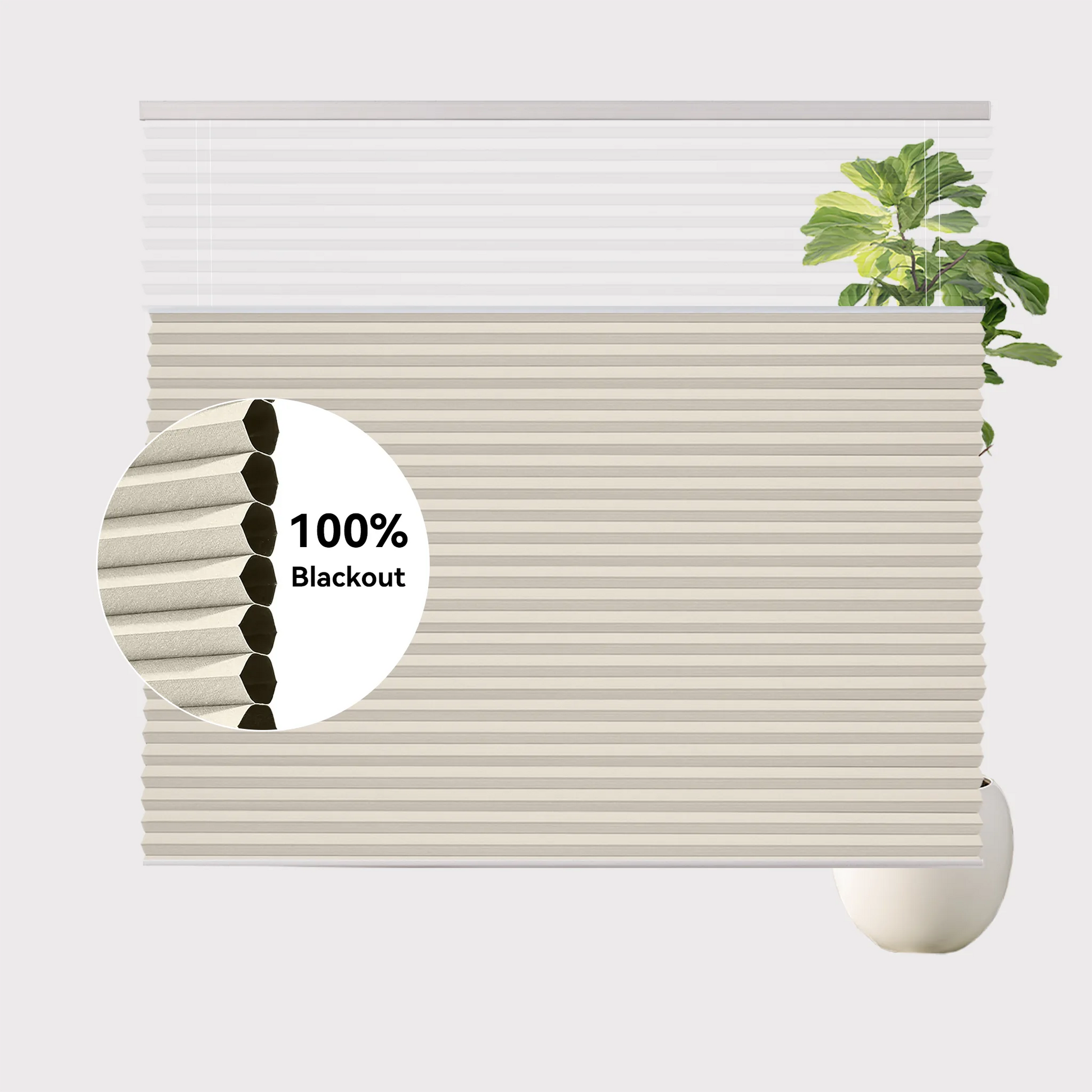 Light Khaki