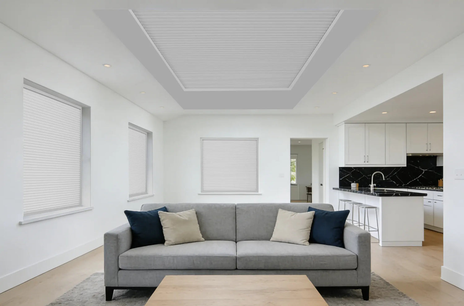 Blackout skylight cellular shades