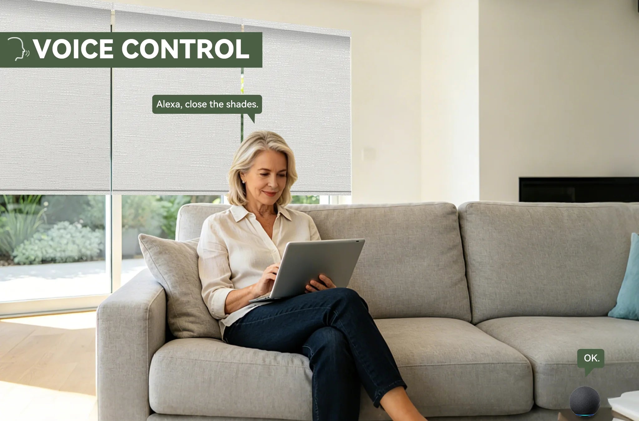 voice control blackout roller blinds