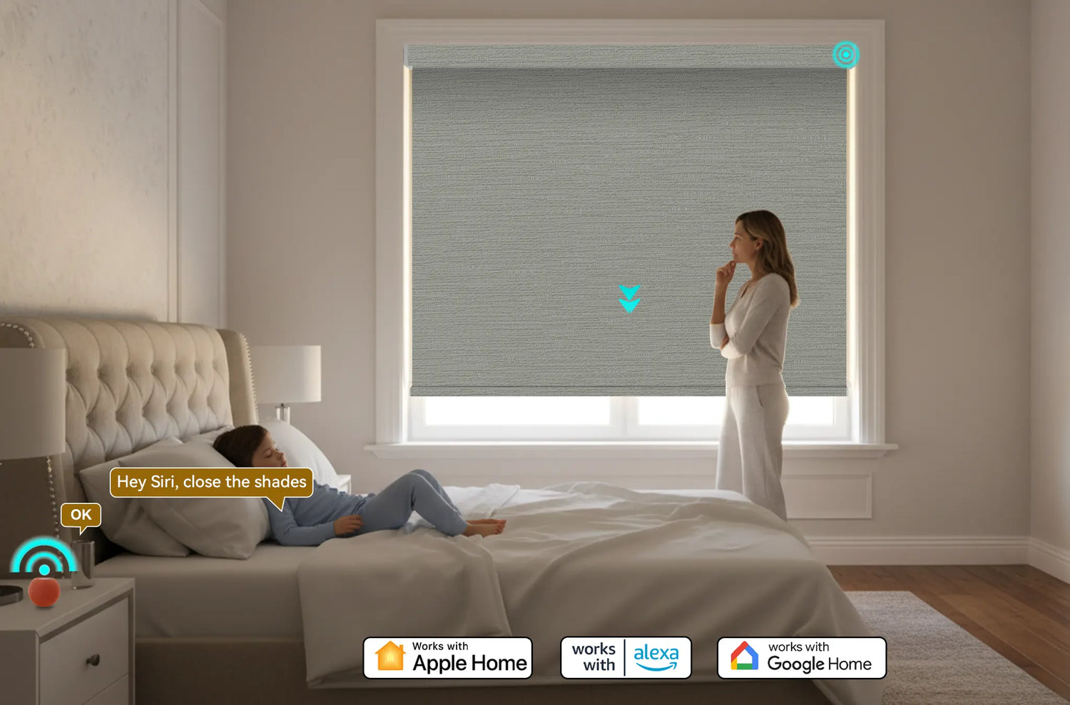 Custom motorized blackout roller shades installed in a modern living room, compatible with Apple HomeKit, Amazon Alexa, and Google Assistant.