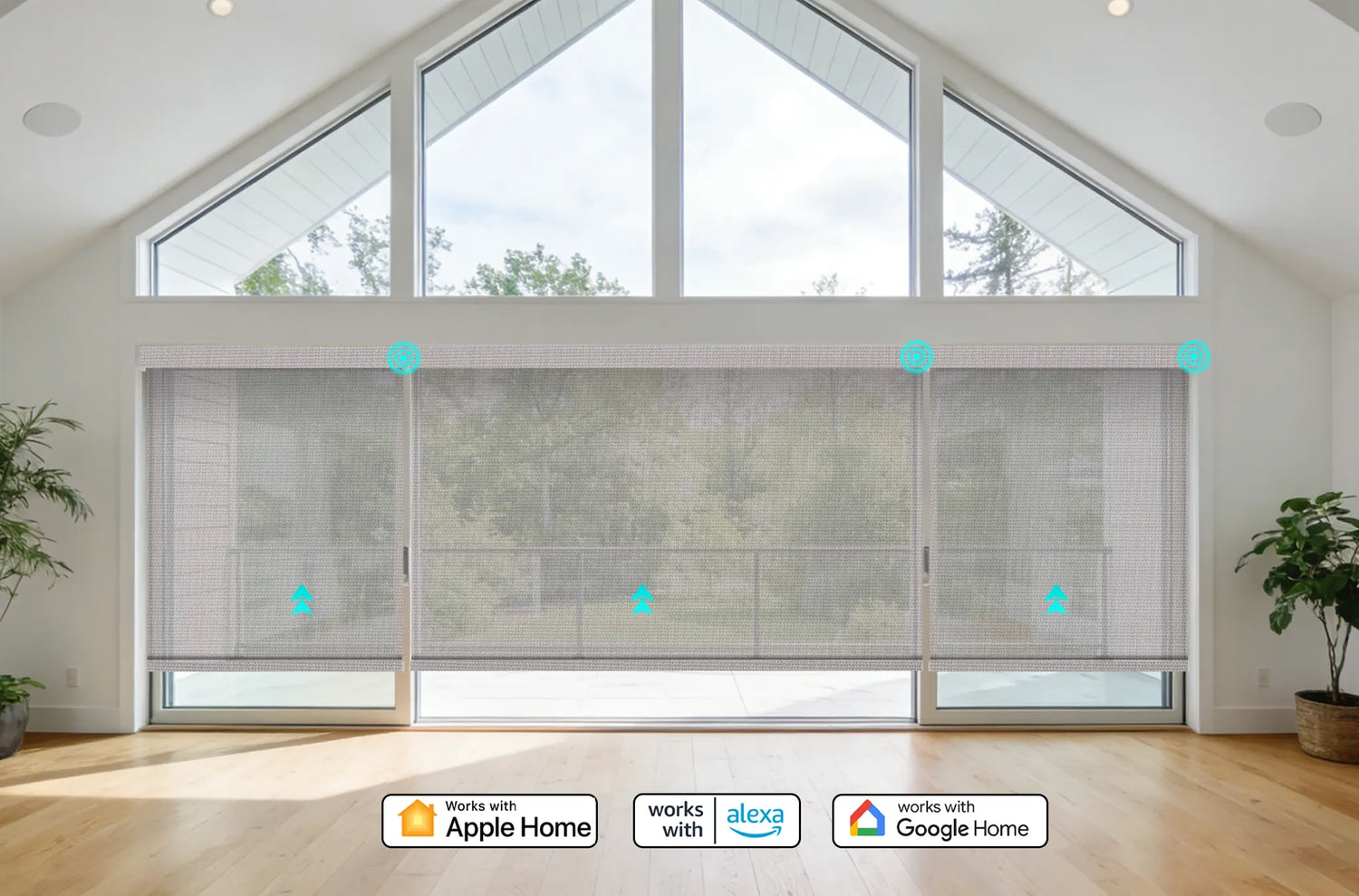 Kurlax motorized solar roller shades installed in a modern living room integrated with Apple HomeKit and Amazon Alexa.