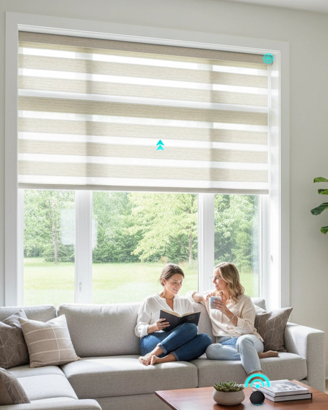 Motorized Zebra Shades for Living Room