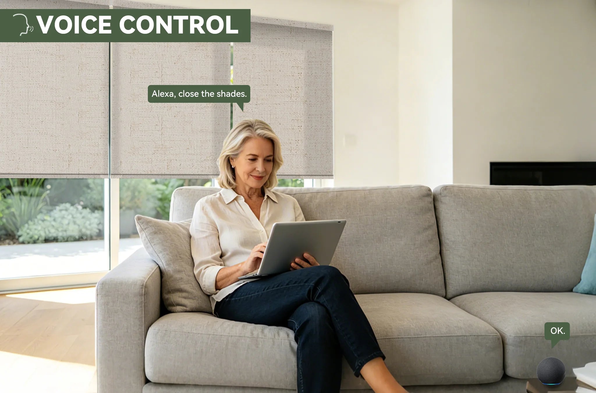 voice control roller shades