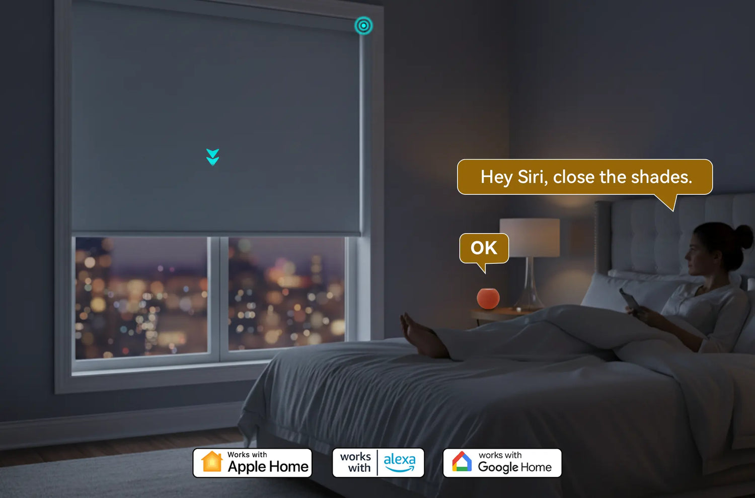 Custom motorized blackout roller shades controlled via Apple HomeKit and Alexa in a modern living room.