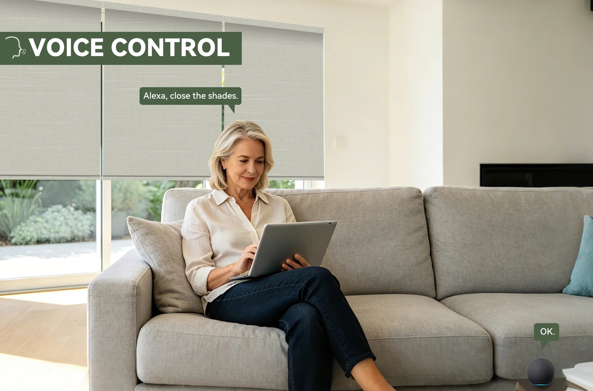voice control blackout roller shades