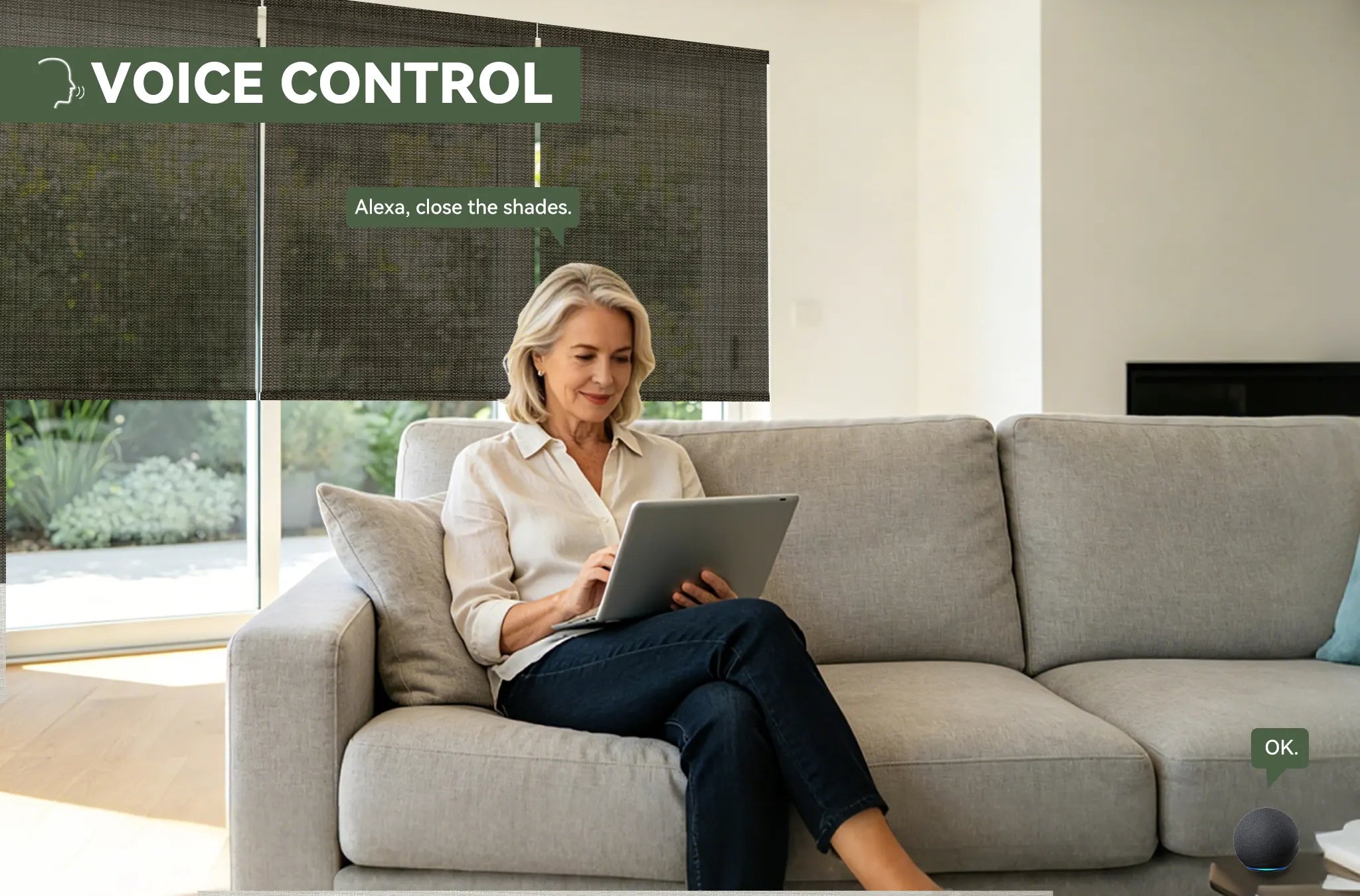 motorized sola roller shades with voice control